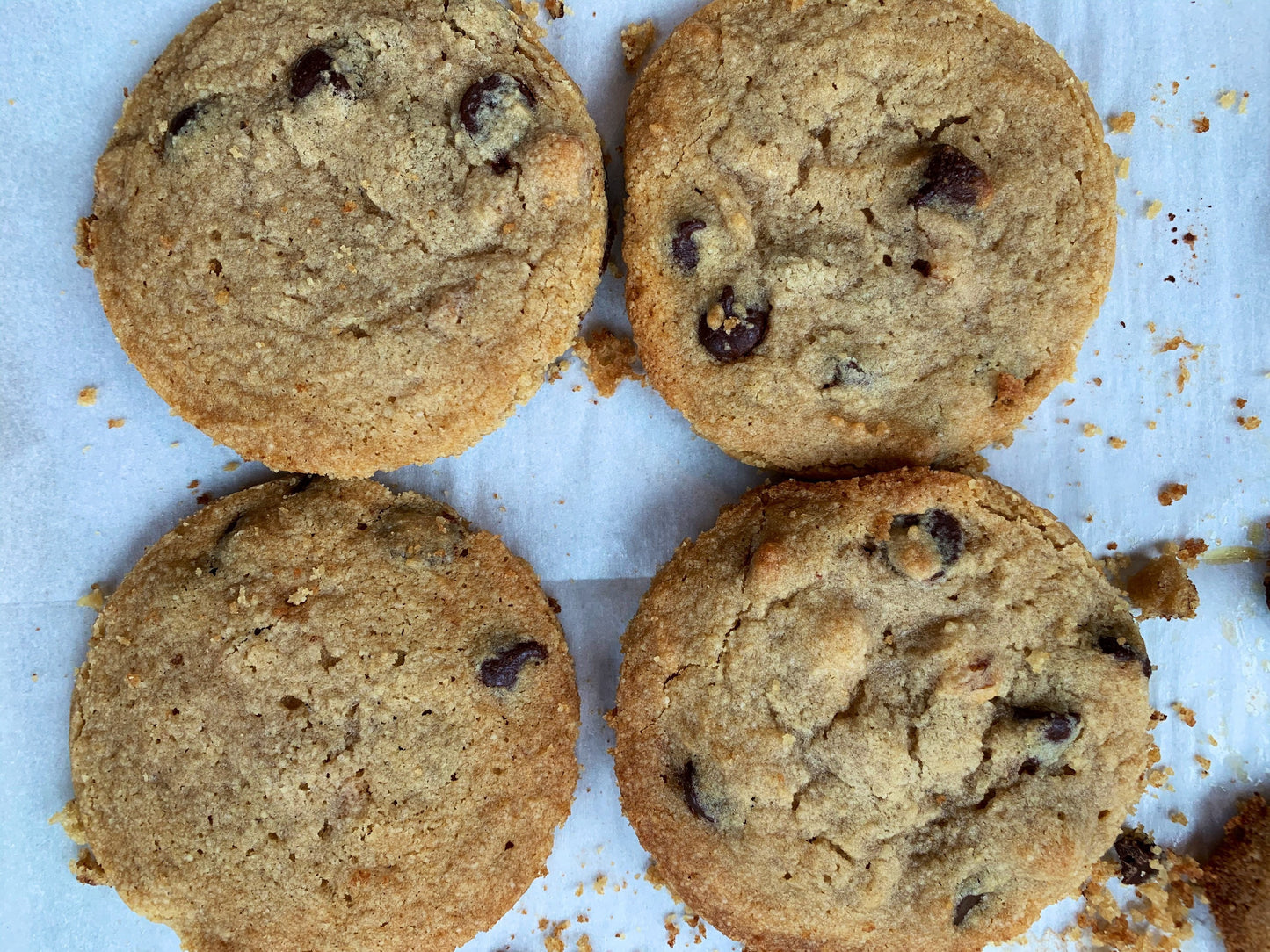 1g Net Carb KETO/GF Chocolate Chip cookies